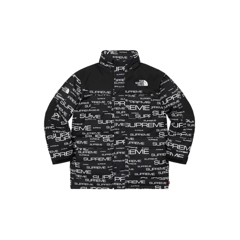 Supreme The North Face Coldworks 700 Fill Down Parka-2