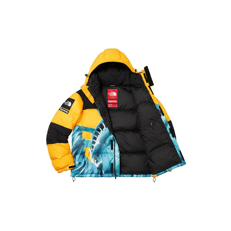Supreme The North Face Statue Of Liberty Baltoro Jacket-2