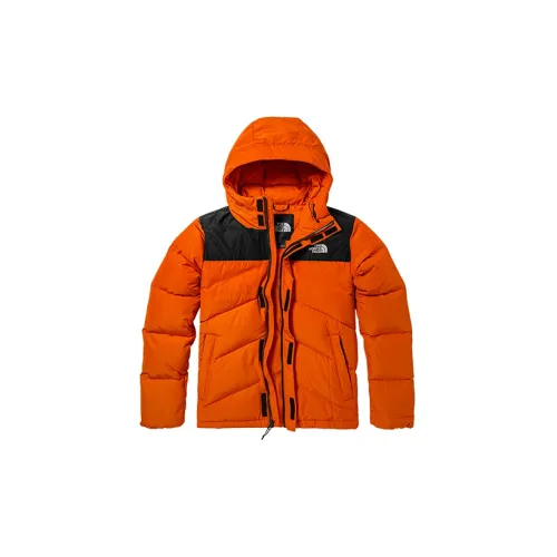 THE NORTH FACE Down Jackets Men Orange