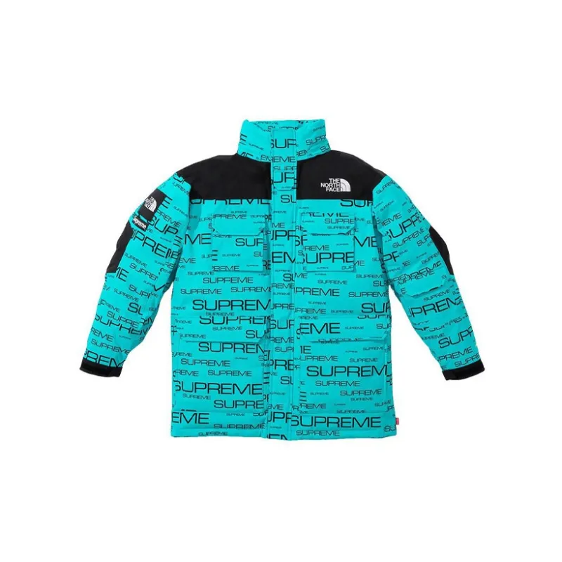 Supreme The North Face Coldworks 700 Fill Down Parka-6