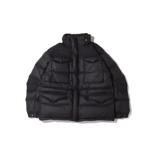 THE NORTH FACE PURPLE LABEL Male Down jacket