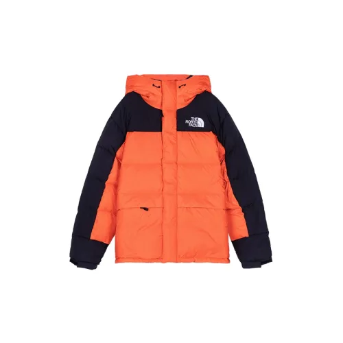 THE NORTH FACE Down Jackets Men Persian Orange