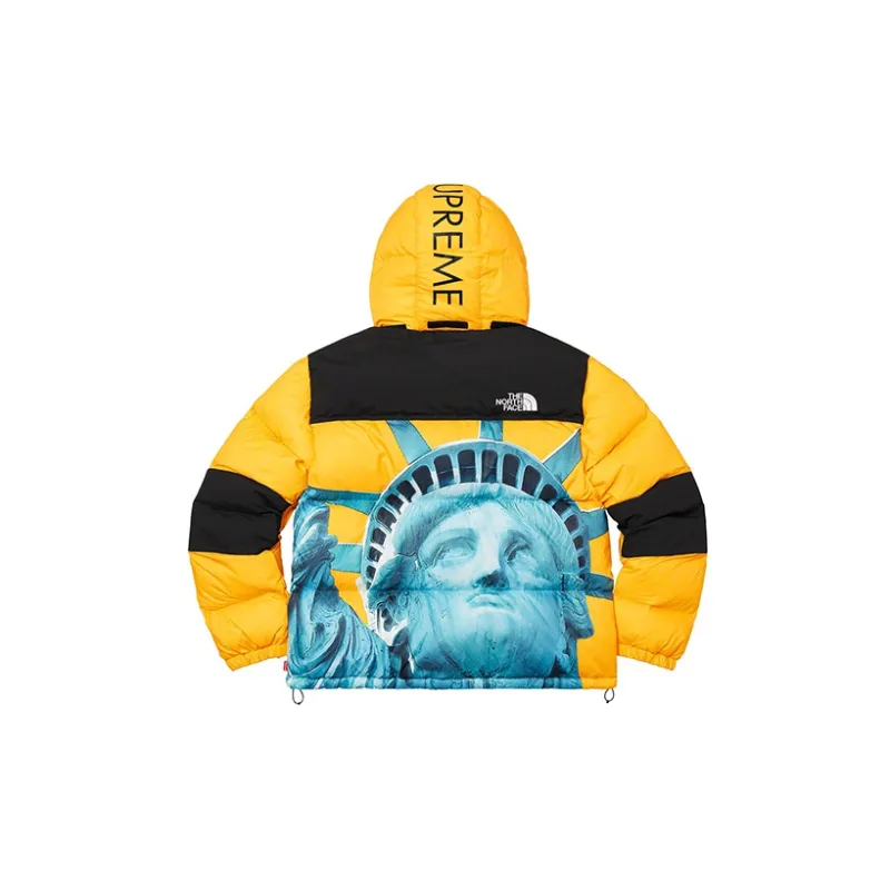 Supreme The North Face Statue Of Liberty Baltoro Jacket-1