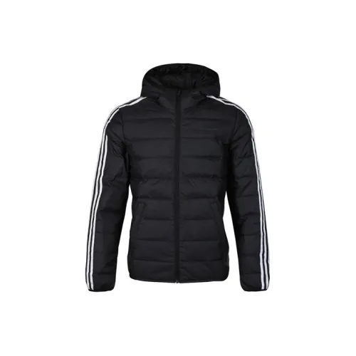 adidas neo Male Down jacket