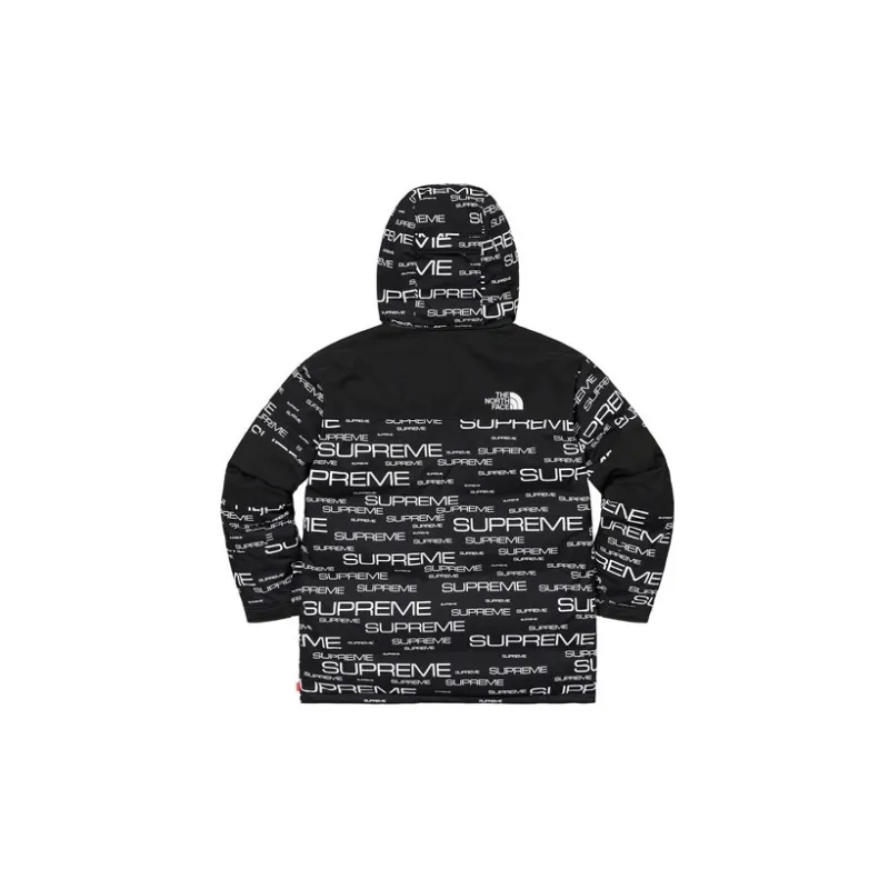 Supreme The North Face Coldworks 700 Fill Down Parka-1