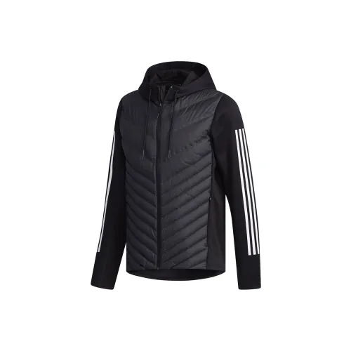 adidas neo Men Down Jacket