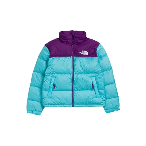 THE NORTH FACE 1996 Collection Down Jackets Men Blue Purple