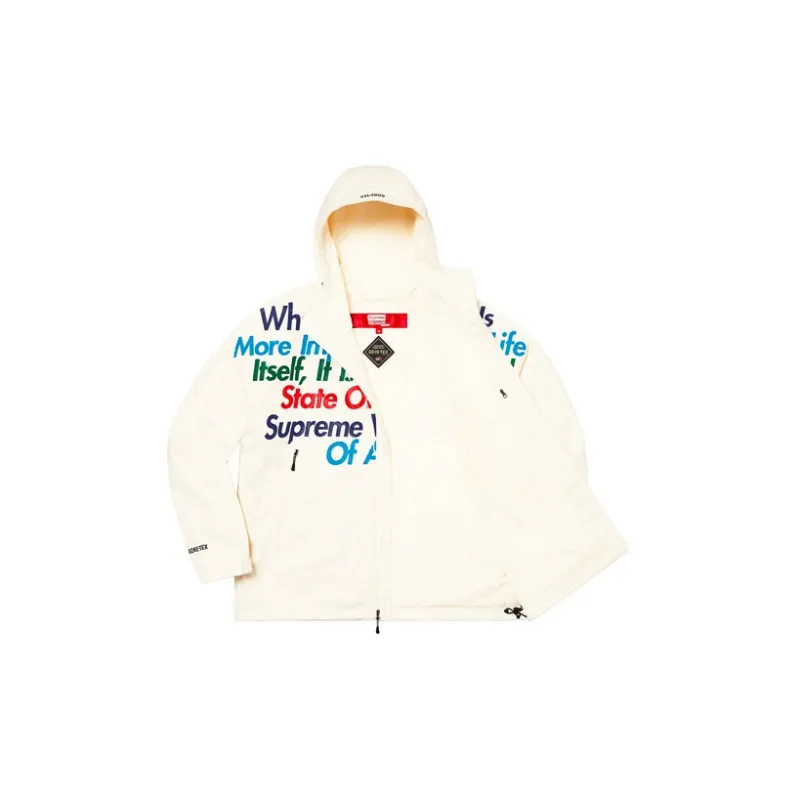 Supreme X Junya Watanabe X Comme Des Garçons Man GORE TEX Denim Parka-5