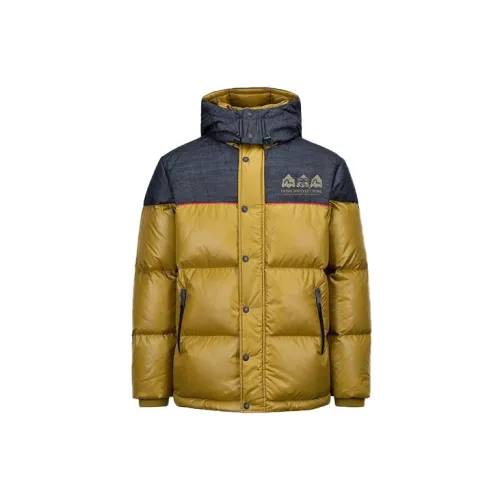 EVISU Down Jackets Men Brown