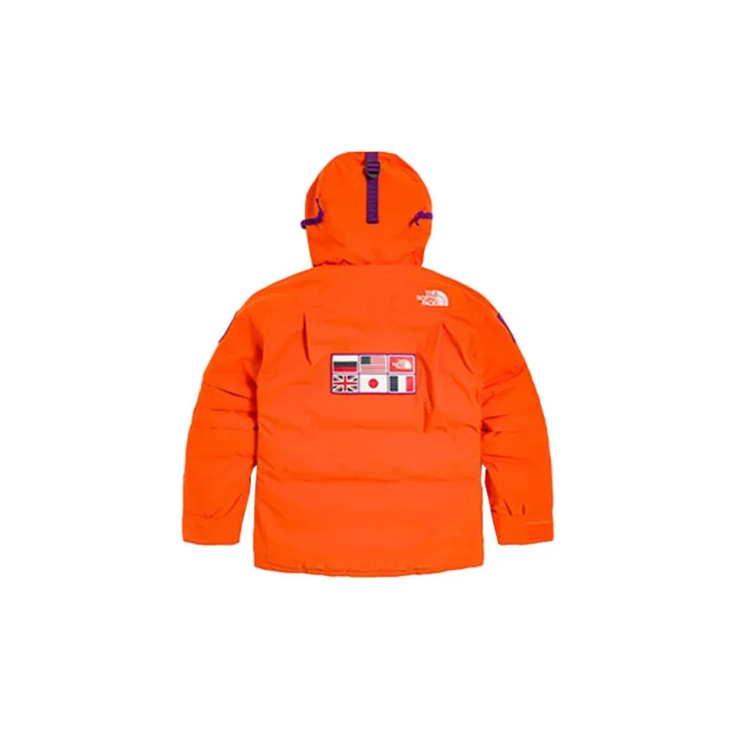 THE NORTH FACE Tae Trans Antarctica Expedition 700 Down Parka Jacket-1