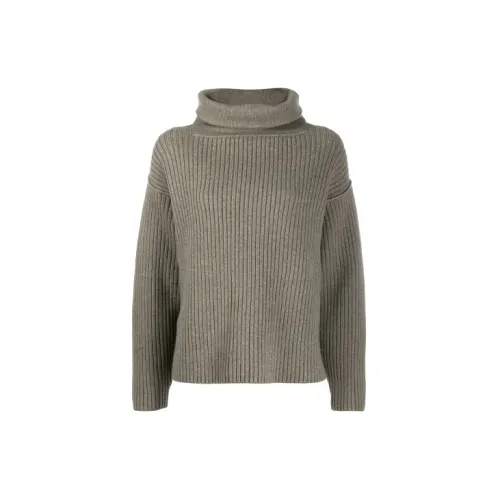 Alexander Wang Sweaters Women's Coffee