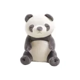 Panda sitting