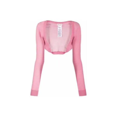 Alexander McQueen FW21 Slim Fit Sweater Women's Pink