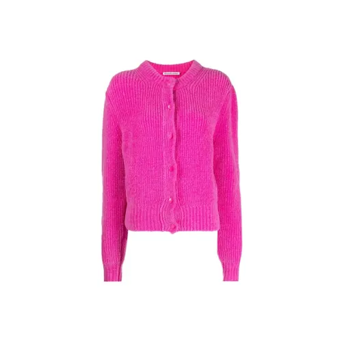 Alexander Wang Sweater Women's Pink