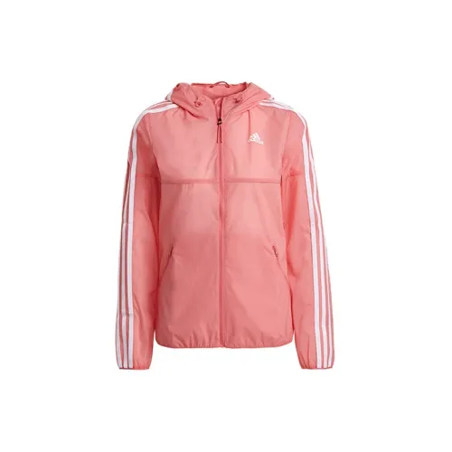 Adidas Jackets Women's Rose Red