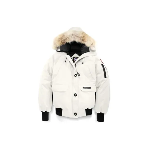 Canada Goose Chilliwack Down Jackets Women's White