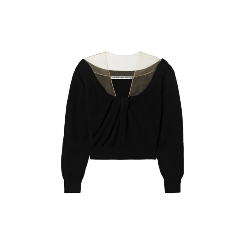 Alexander Wang Cropped Hoodie-1