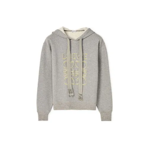 LOEWE Sweatshirt Women's Gray