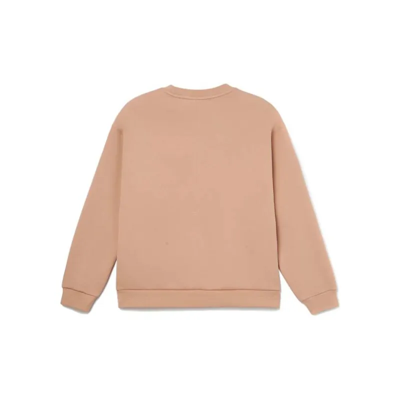LiNing Training Collection Fitness Collection Sweatshirt Women's Candy Coffee-1