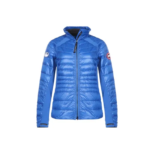 Canada Goose HyBridge Down Jackets Women's Royal Blue