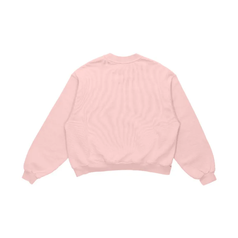 Alexander Wang Sweatshirts Women's Pink-1