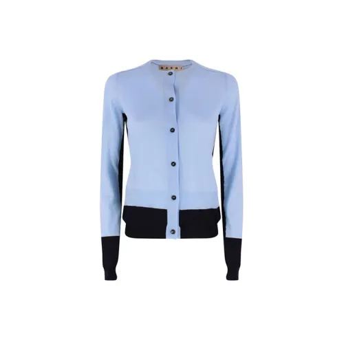 MARNI Knitwear Women's Light Blue