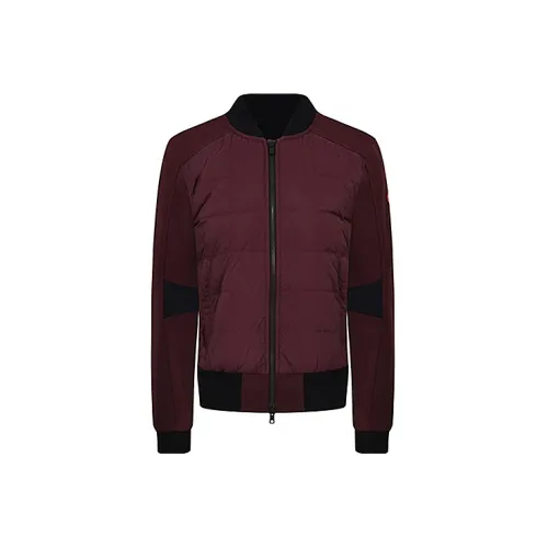 Canada Goose Down Jackets Women's Burgundy