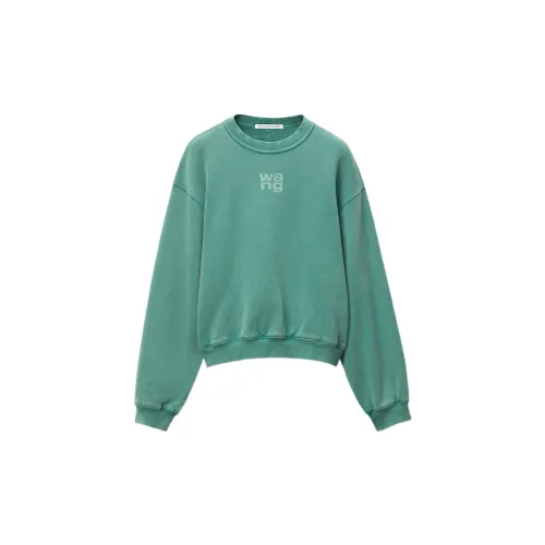 alexander wang Pullover sweatshirt Female 