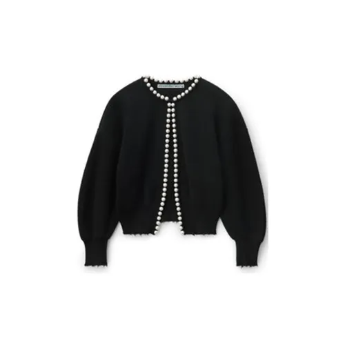 Alexander Wang Cashmere Sweaters Women's Black