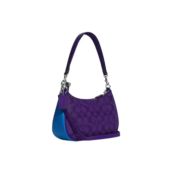 COACH Teri Handbags-1