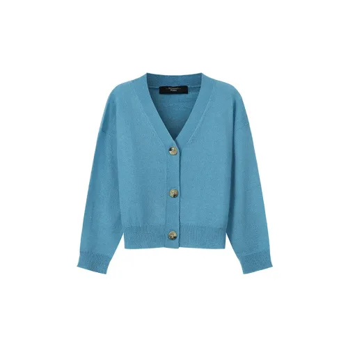 WEEKEND MaxMara Knitwear Women's Light Blue