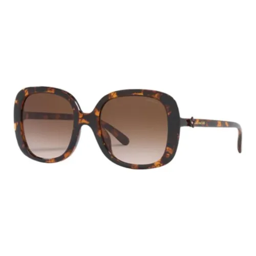 COACH Sunglasses Women's Brown