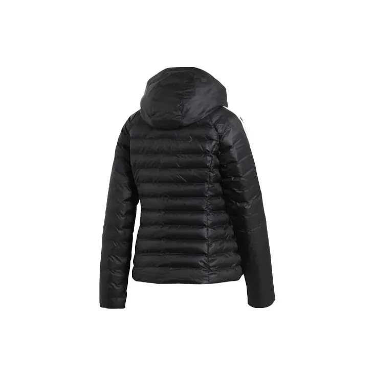 Adidas Originals Puffer Jackets Women's Black-1