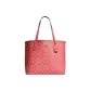 Bag+Dust Bag