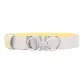 Gray/Yellow