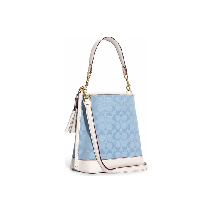 COACH Mollie Shoulder Bags-1
