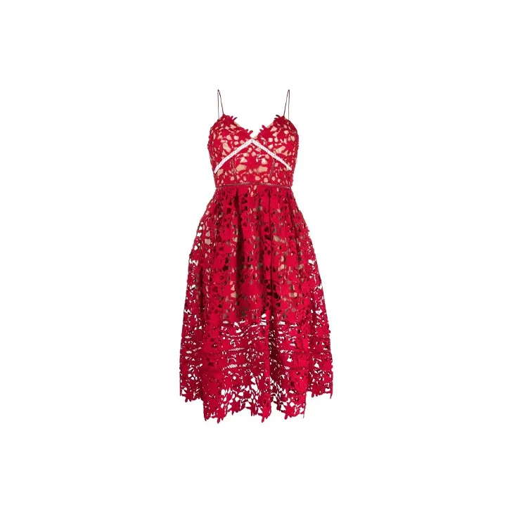 Self portrait Lace overlay Dress-2
