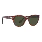 Tortoiseshell