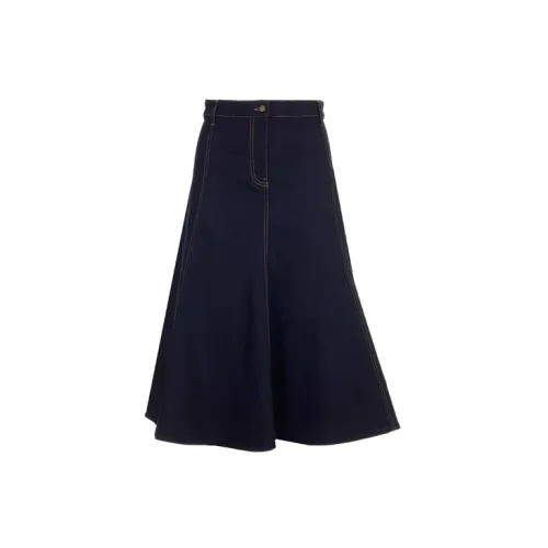 Valentino Casual Long Skirts Women's Blue