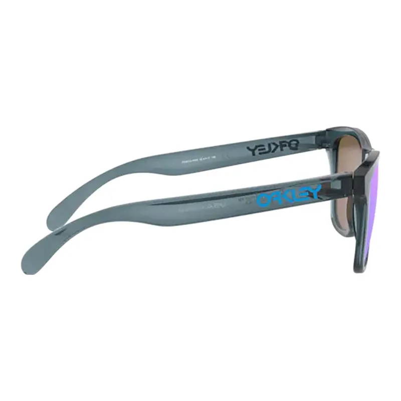 Oakley Frogskins Sunglasses-2