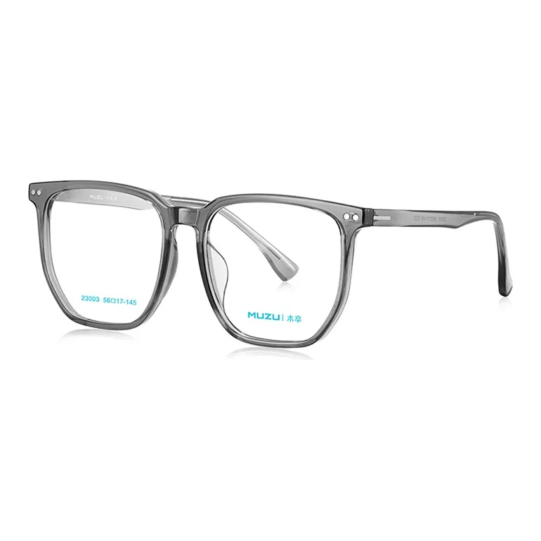MUZU TR/Memory Plastic Irregular Shape Sunglasses Unisex-8
