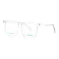 Nude Translucent-C01 (Frame Only)