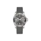 Gray Dial