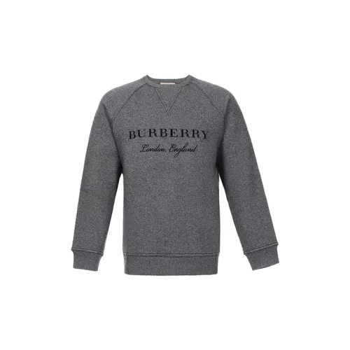 Burberry Cashmere Sweaters Men Dark Gray