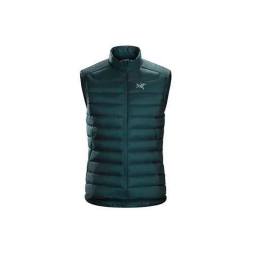 Arcteryx CERIUM Series Vest Men's