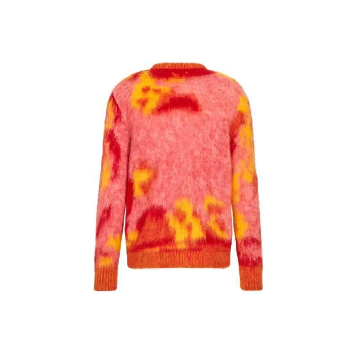 DIOR Quarterly New Products Sweaters Men Multicolor-1