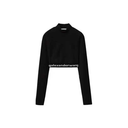 alexander wang Women Knitwear