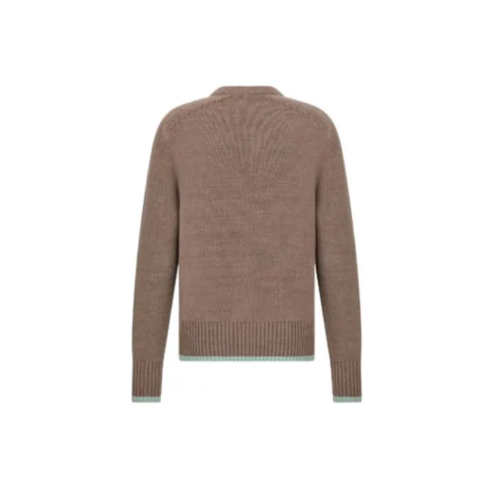 DIOR Quarterly New Products Sweaters Men Brown-1