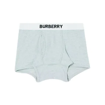 Burberry Underpants Men's 1 Pack Gray