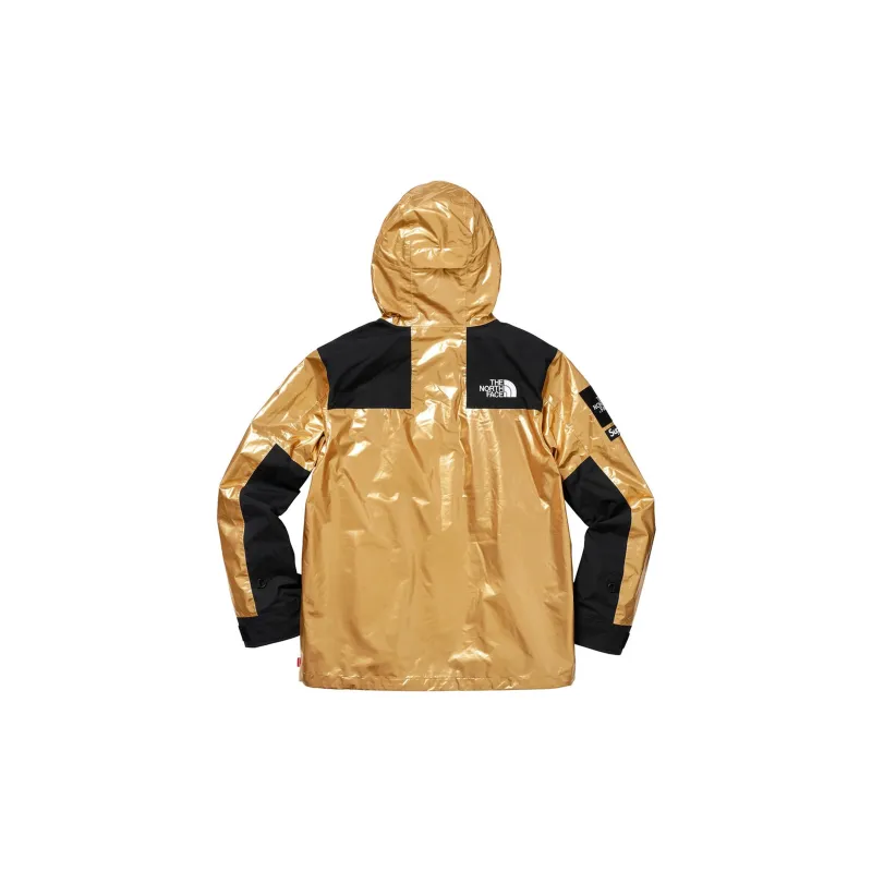 Supreme The North Face Metallic Mountain Parka-1